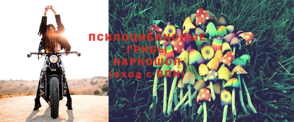 дживик Алексеевка