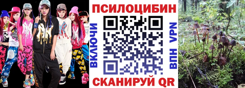 как найти закладки  Далматово  Галлюциногенные грибы прущие грибы 